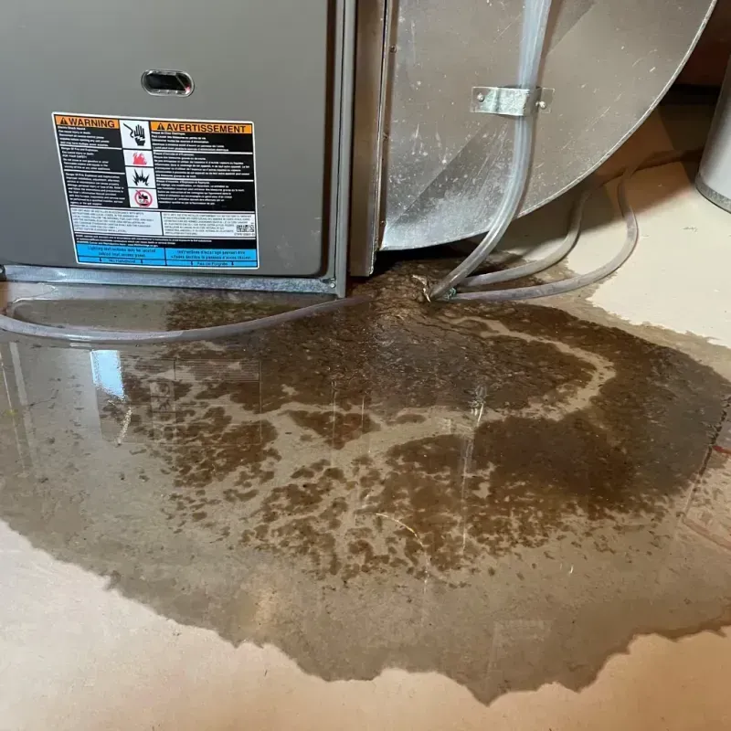 Appliance Leak Cleanup in Logan, IA